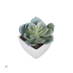 Succulentes en plastique réalistes pour décoration