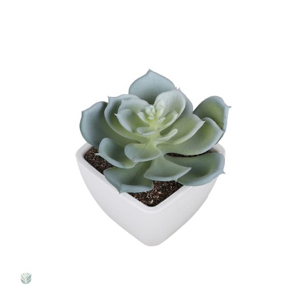 Succulentes en plastique réalistes pour décoration