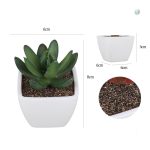 Cactus artificiels, ajout coloré pour votre espace