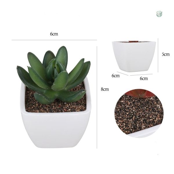 Cactus artificiels, ajout coloré pour votre espace
