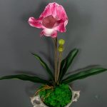 Tige florale d'orchidée en plastique durable