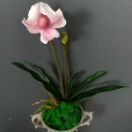 Tige d'orchidée décorative pour salon