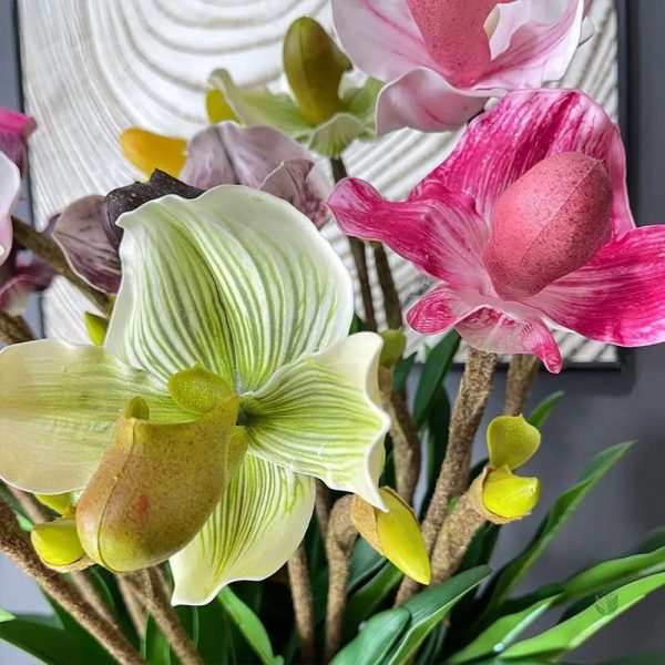 Orchidée en tige pour arrangements floraux