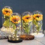 Tournesol Éternel sous cloche pour décoration intérieure