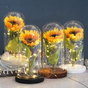 Tournesol Éternel sous cloche pour décoration intérieure