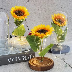 Élégant tournesol sous cloche pour une touche artistique