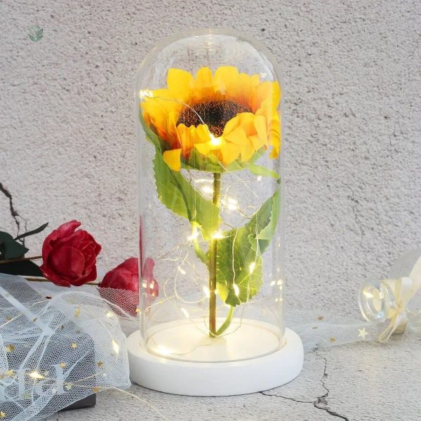 Tournesol préservé sous cloche, idéal pour la maison