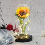 Déco florale : tournesol éternel sous cloche pour Cyber Monday