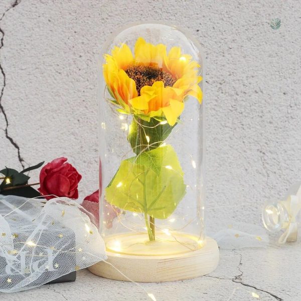 Vitrine de tournesol sous cloche, cadeau original à offrir