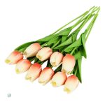 Tulipes décoratives