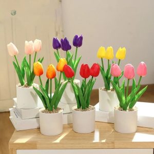 Tulipes en pot colorées pour embellir votre intérieur