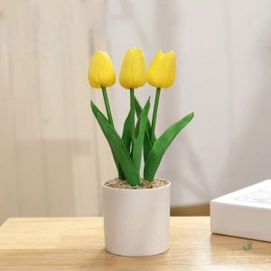 Tulipes en pot, fleurs vibrantes pour la saison hivernale