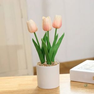 Arrangement de tulipes en pot pour une touche de fraîcheur