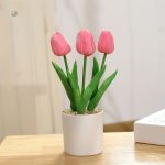Pot de tulipes, idéal pour des décorations modernes