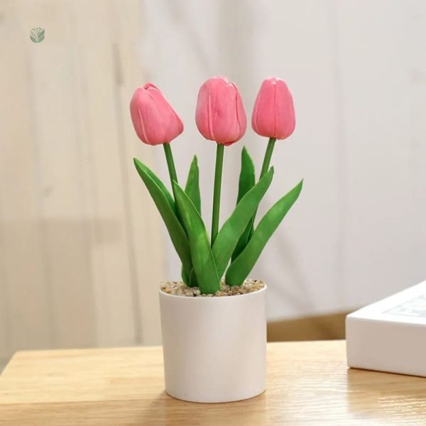 Pot de tulipes, idéal pour des décorations modernes