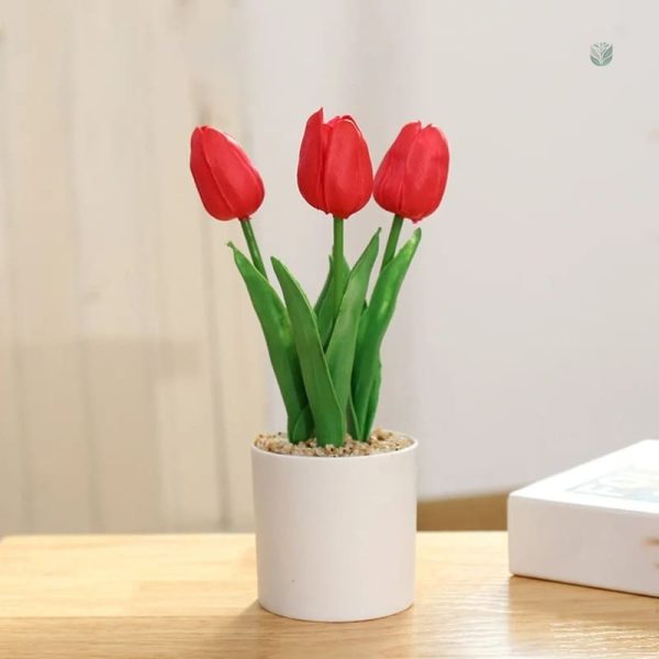 Tulipes en pot, un choix parfait pour Cyber Monday