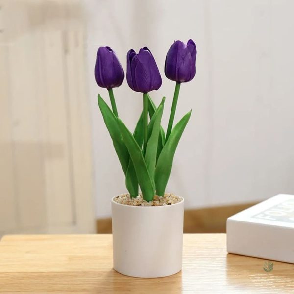 Fleurs en pot, tulipes à offrir pour les fêtes de fin d'année