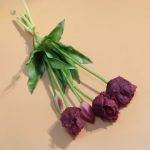 Tulipes perroquet, un choix décoratif chic