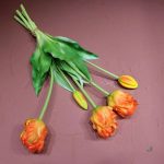 Tulipes perroquet pour une touche d'élégance