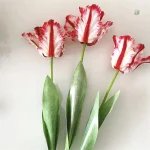 Tulipes perroquet artifice pour décoration intérieure