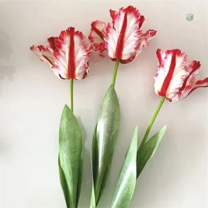 Tulipes perroquet artifice pour décoration intérieure