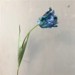 Tulipes perroquet décoratives pour événements festifs