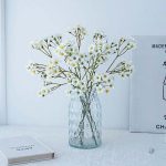 Vernicia Fordii, élégance florale à petit prix