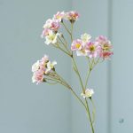 Vernicia Fordii, option économique pour décoration florale