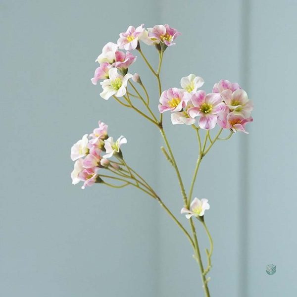 Vernicia Fordii, option économique pour décoration florale