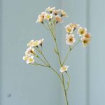 Fleurs Vernicia Fordii, touche de couleur pour votre maison