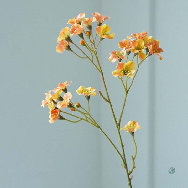 Vernicia Fordii, fleurs artificielles à prix abordable